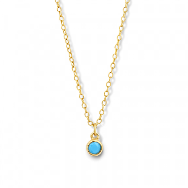 Kette mit rundem Türkis 925er Silber