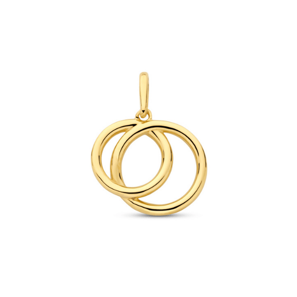 Anhänger Doppelkreis 14k