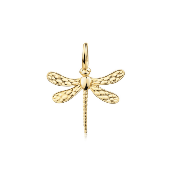 Anhänger Libelle 8k