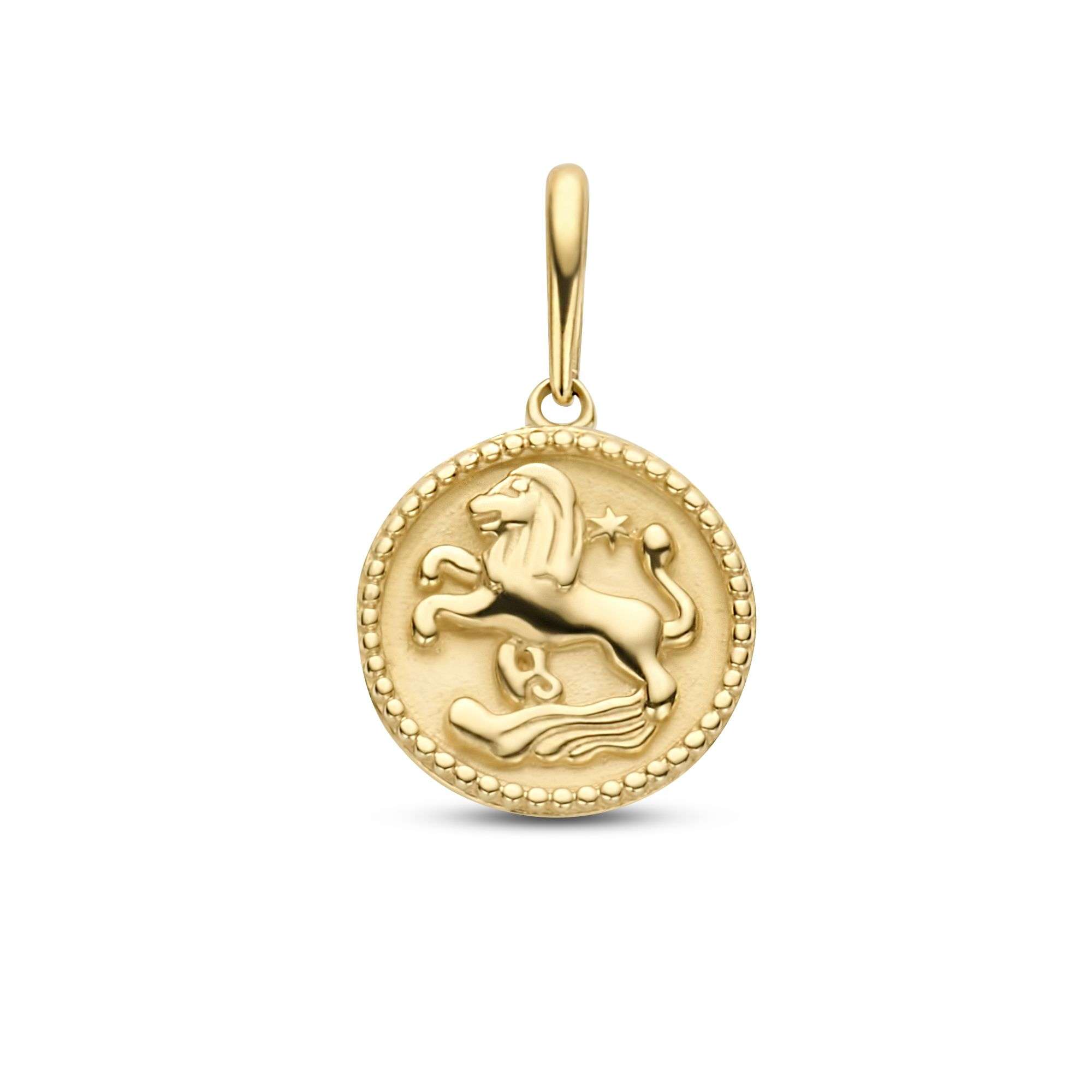 Anhänger Sternzeichen Löwe 14k Gold