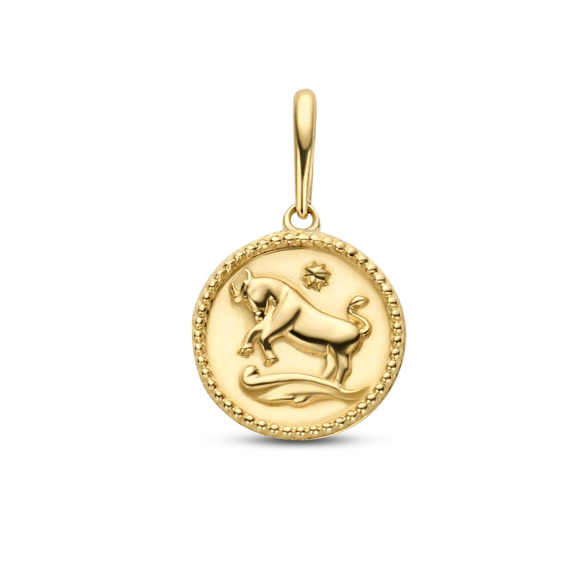 Sternzeichen Stier 14k Gold