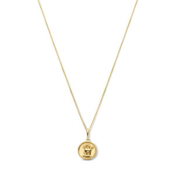 Kette Sternzeichen Steinbock 14k Gold