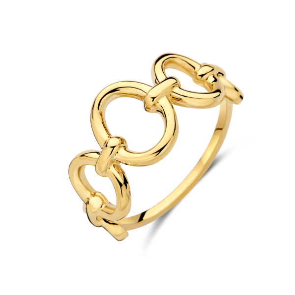 Ring mit runden Kettengliedern 14k Gold