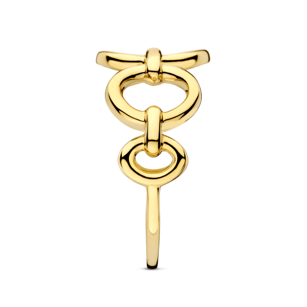 Ring mit runden Kettengliedern seitlich 14k Gold