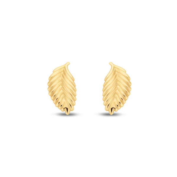 Ohrstecker Feder 14k Gold