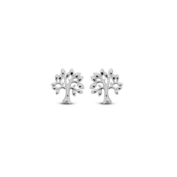 Ohrstecker Lebensbaum 14k Weißgold